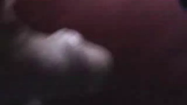 سبیل گربه سکیس پیرزن اش را قلقلک داد.