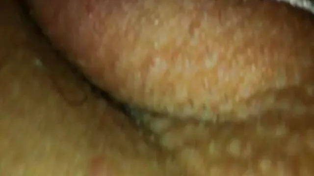 سکسی سوئدی