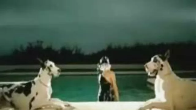 کاملاً تمرکز خود را بر روی blowjob انجام سکس پیرزن پیرمرد داده ام.