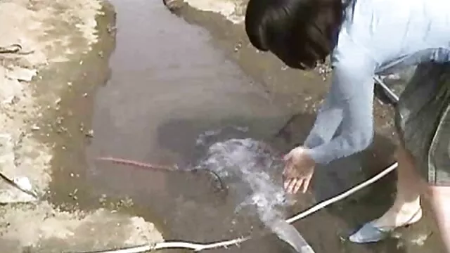 زیبایی در جوراب ساق بلند یک فيلم سكسي پيرزن فانتزی وابسته به عشق شهوانی کاربر چت را انجام می دهد